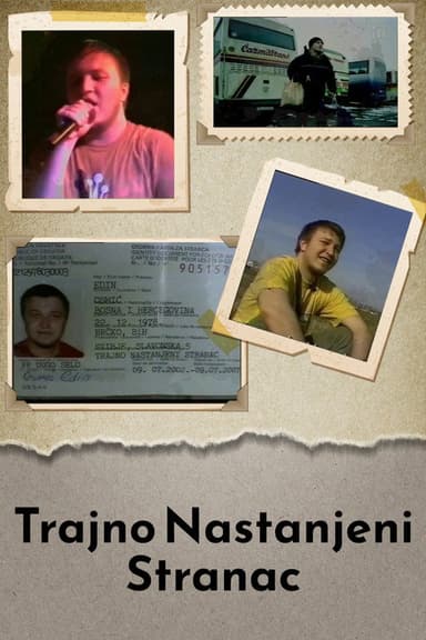 Permanently Inhabited Stranger poster