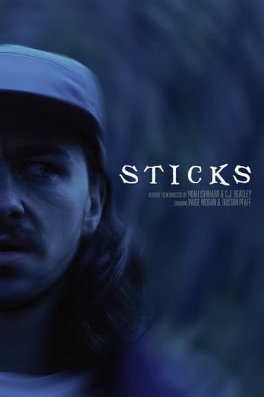 STICKS poster