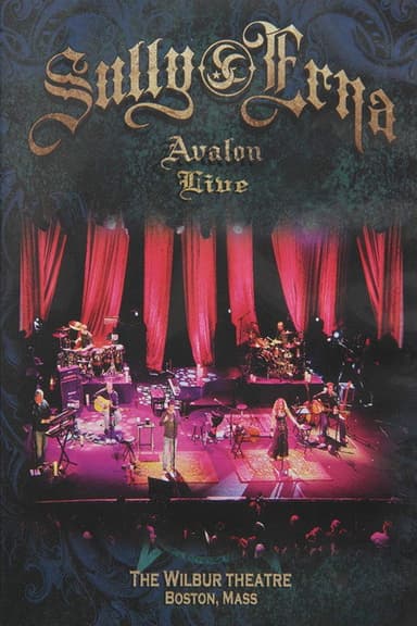 Sully Erna - Avalon Live poster