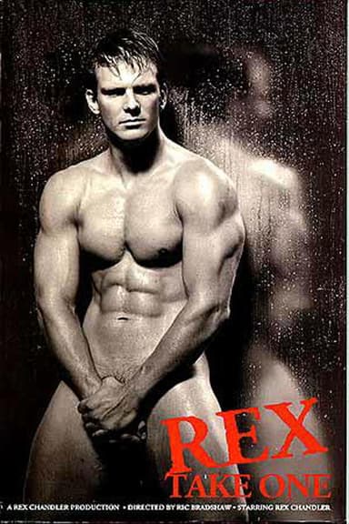 Rex Take One poster