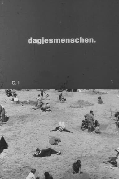 Daytrippers poster