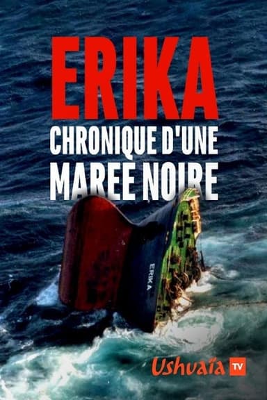 Erika, chronique d'une marée noire poster
