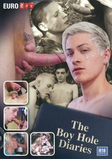 The Boy Hole Diaries poster