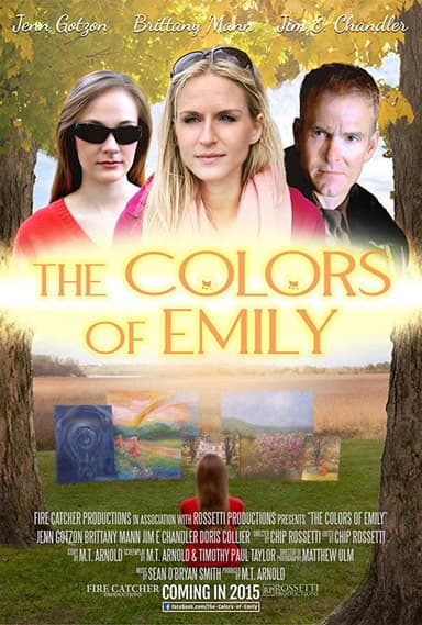 The Colors of Emily poster