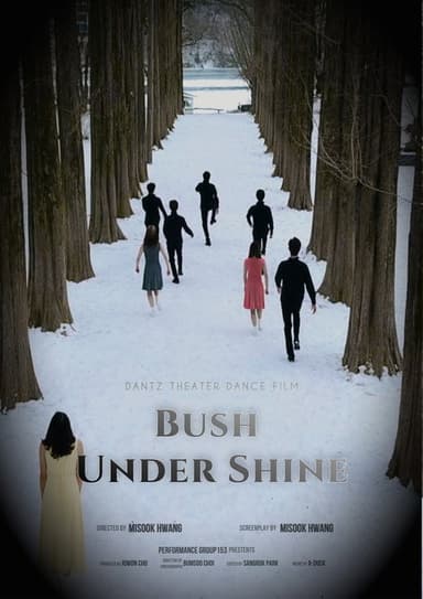 Bush Under Shine poster