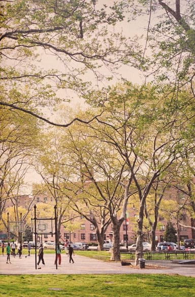The Park poster
