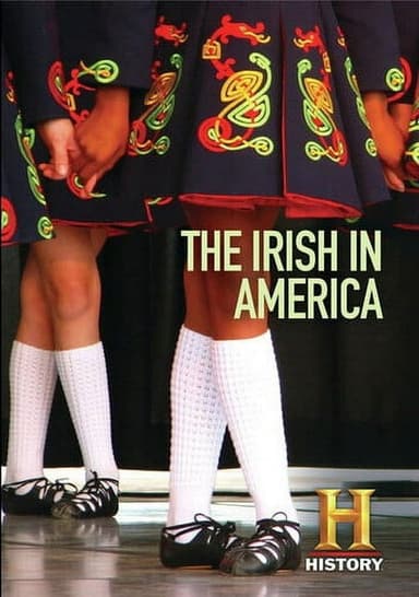 The Irish in America poster