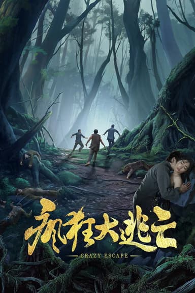 疯狂大逃亡 poster