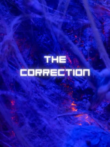 The Correction poster