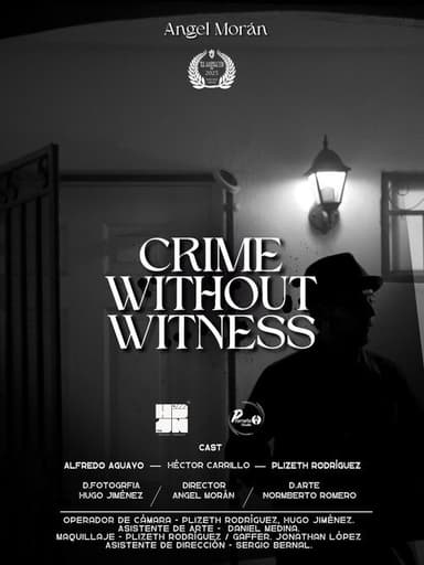 Crime Without Witness poster