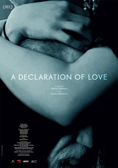 A Declaration of Love poster