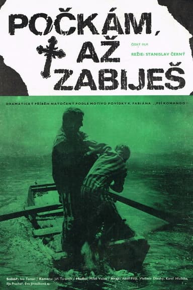 Počkám, až zabiješ poster