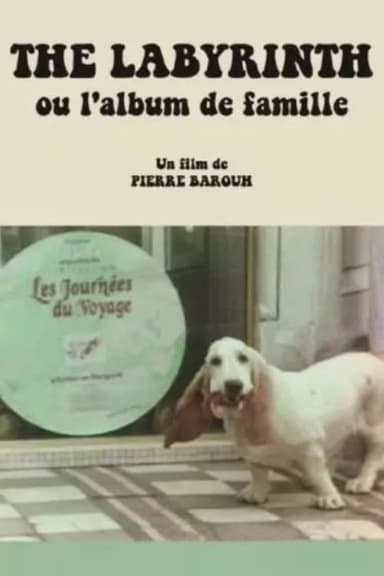 The Labyrinth ou L'album de famille poster