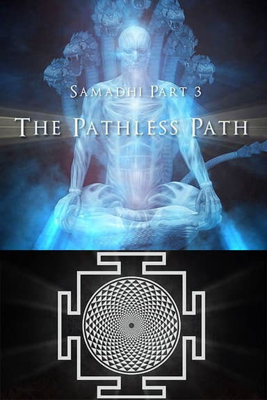 Samadhi Part 3: The Pathless Path poster