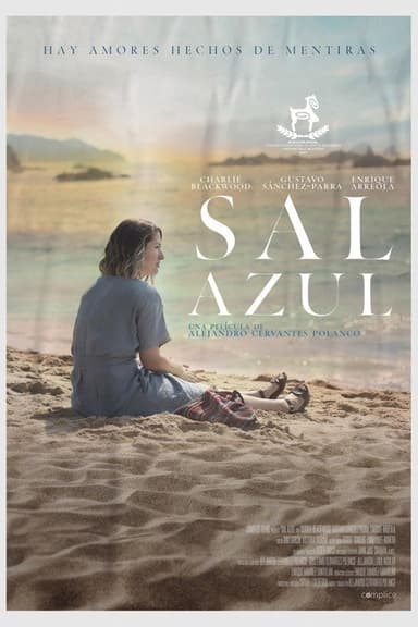 Blue Salt poster
