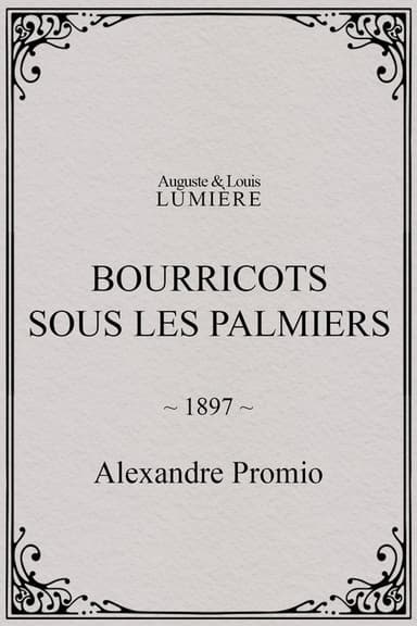 Bourricots sous les palmiers poster
