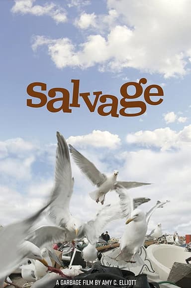 Salvage poster