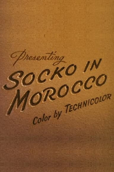 Socko in Morocco poster