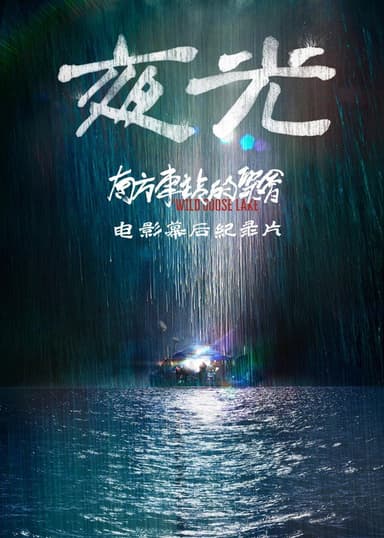 Night Light: Making of The Wild Goose Lake poster