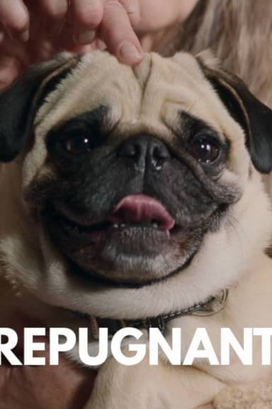Repugnant poster