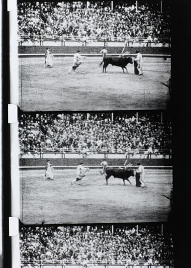 Corrida poster