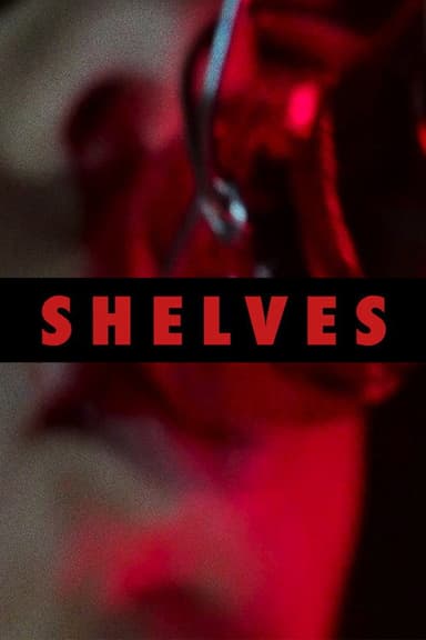 Shelves poster