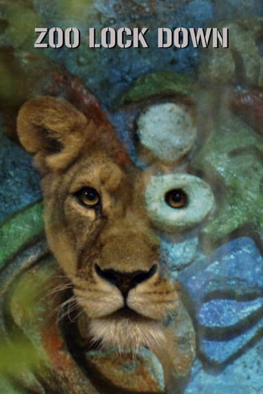 Zoo Lock Down poster