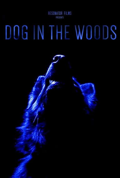 Dog in the Woods poster