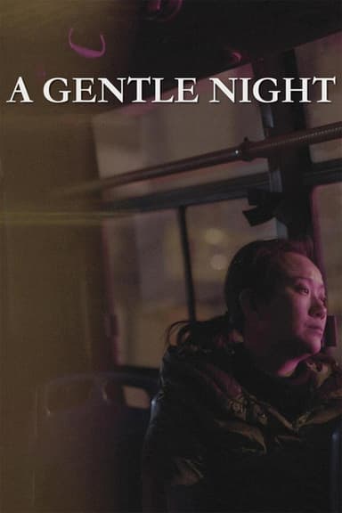 A Gentle Night poster