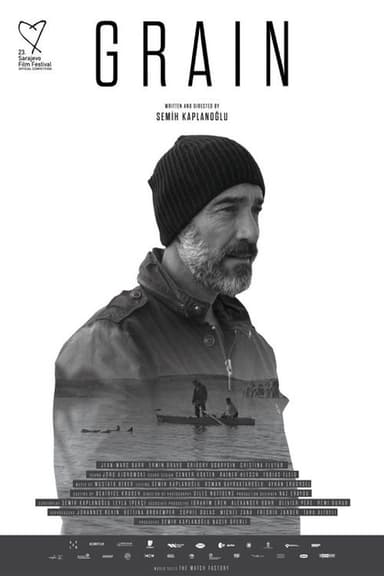 Buğday poster