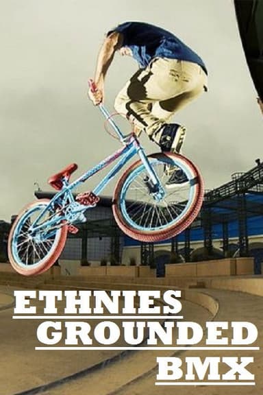 Etnies Grounded BMX poster