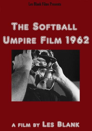 Softball Umpire poster