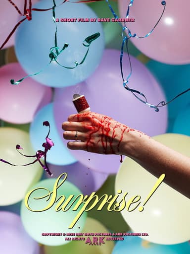 Surprise! poster