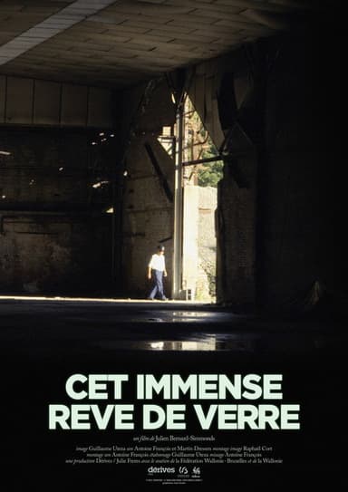 Cet immense rêve de verre poster