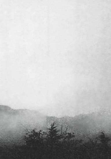 Mist poster