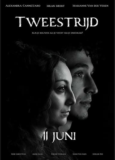 Tweestrijd poster