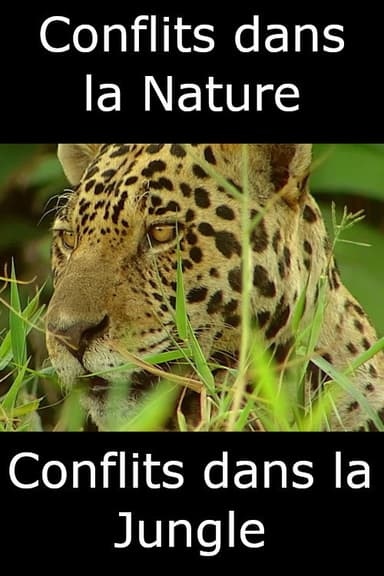 Conflits dans la Nature – Conflits dans la Jungle poster