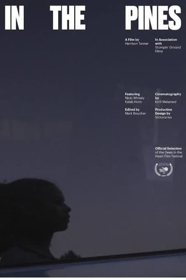 In the Pines poster