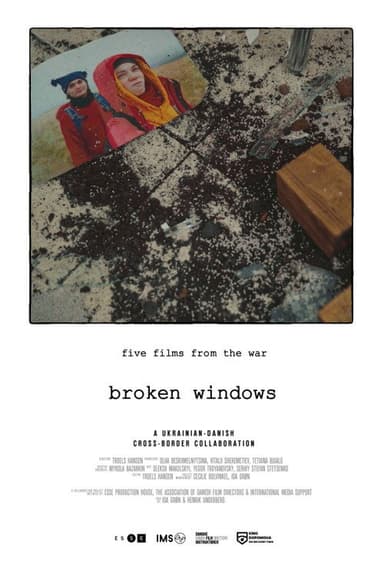 Broken Windows poster