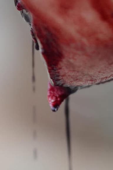 Meat poster