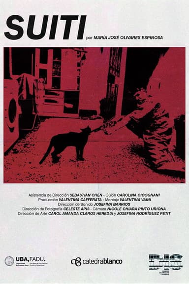 Suiti poster