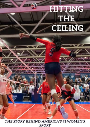 Hitting the Ceiling poster