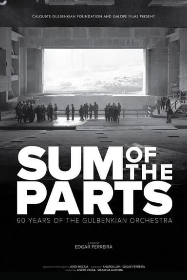 Sum of the Parts poster
