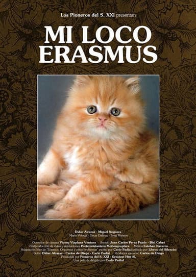 Mi loco erasmus poster
