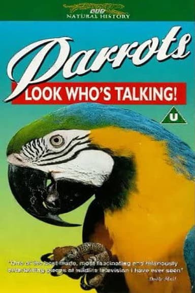 Parrots: Look Who's Talking poster