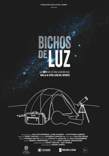 Bugs of Light poster