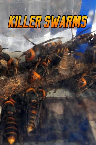 Killer Swarms poster