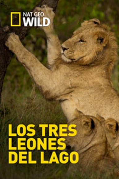 Los Tres Leones Del Lago poster