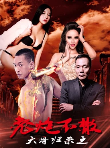大哥归来之老炮不散 poster