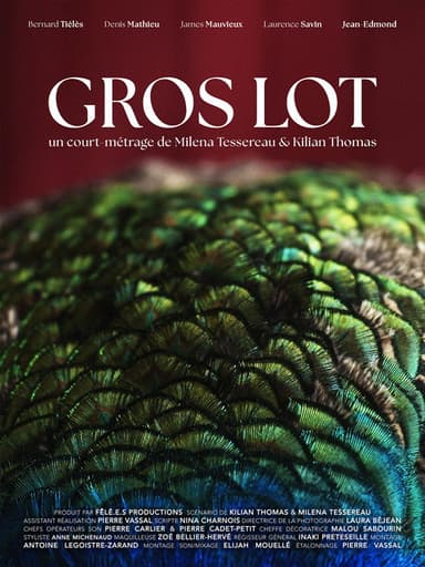 Gros Lot poster